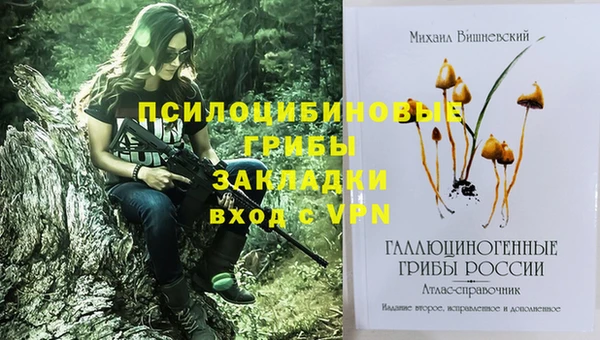 скорость Алзамай